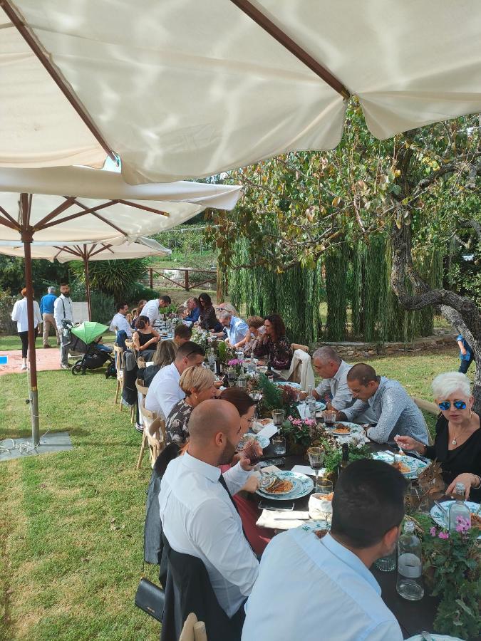 Agriturismo Colle Vento Suvereto Eksteriør billede