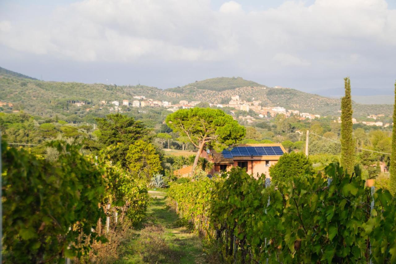 Agriturismo Colle Vento Suvereto Eksteriør billede